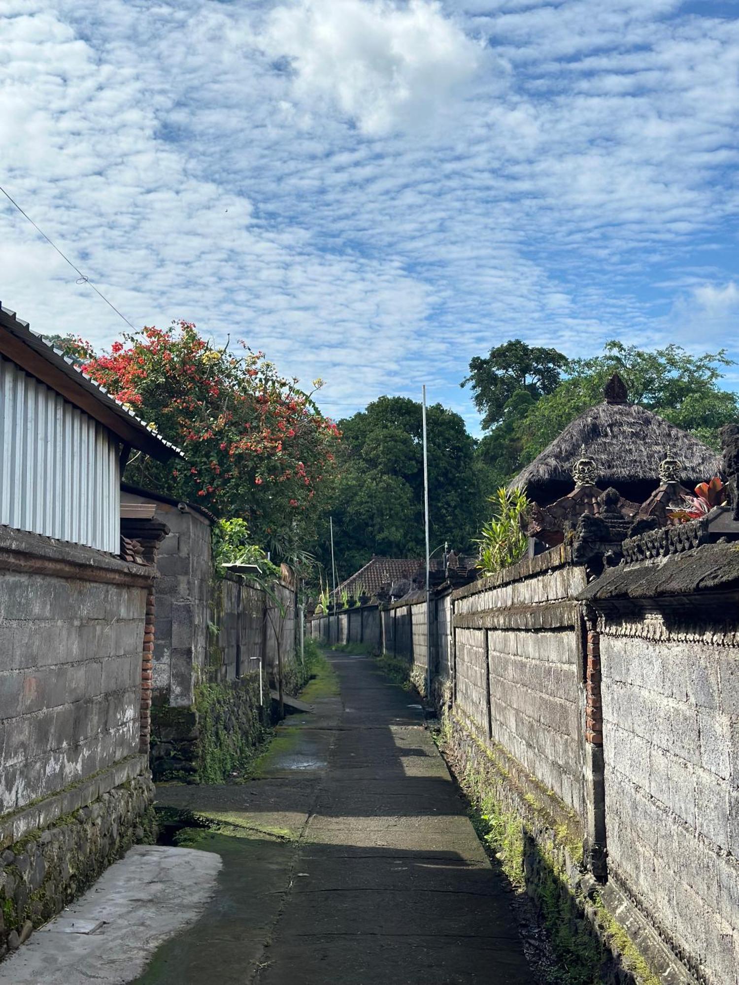 Made Putu Homestay Sidemen  Luaran gambar